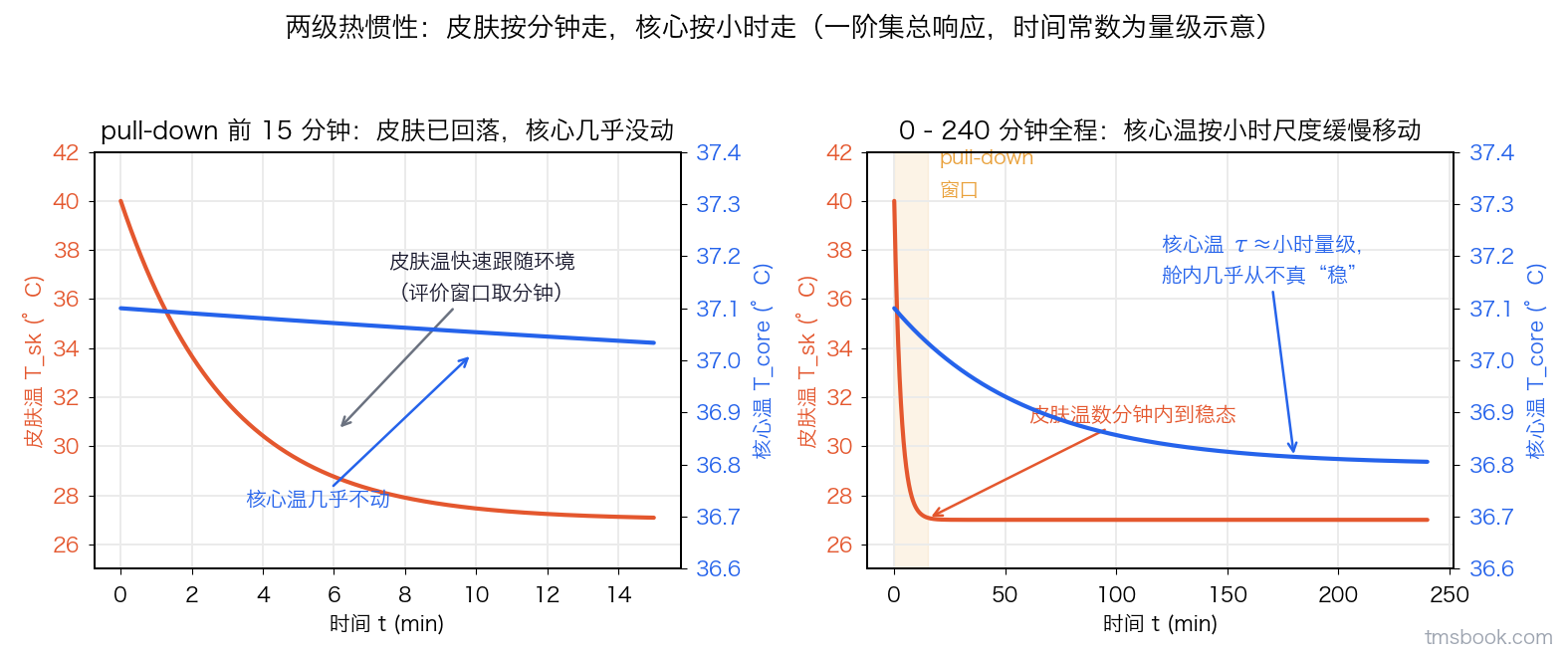 图1 两级热惯性：皮肤分钟级响应，核心小时级响应